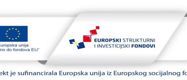 EU LOGOTIP