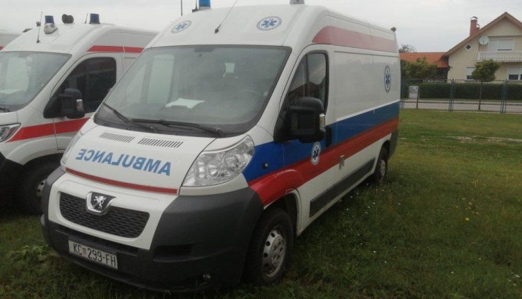 IMG_20210719_121818 (Medium)